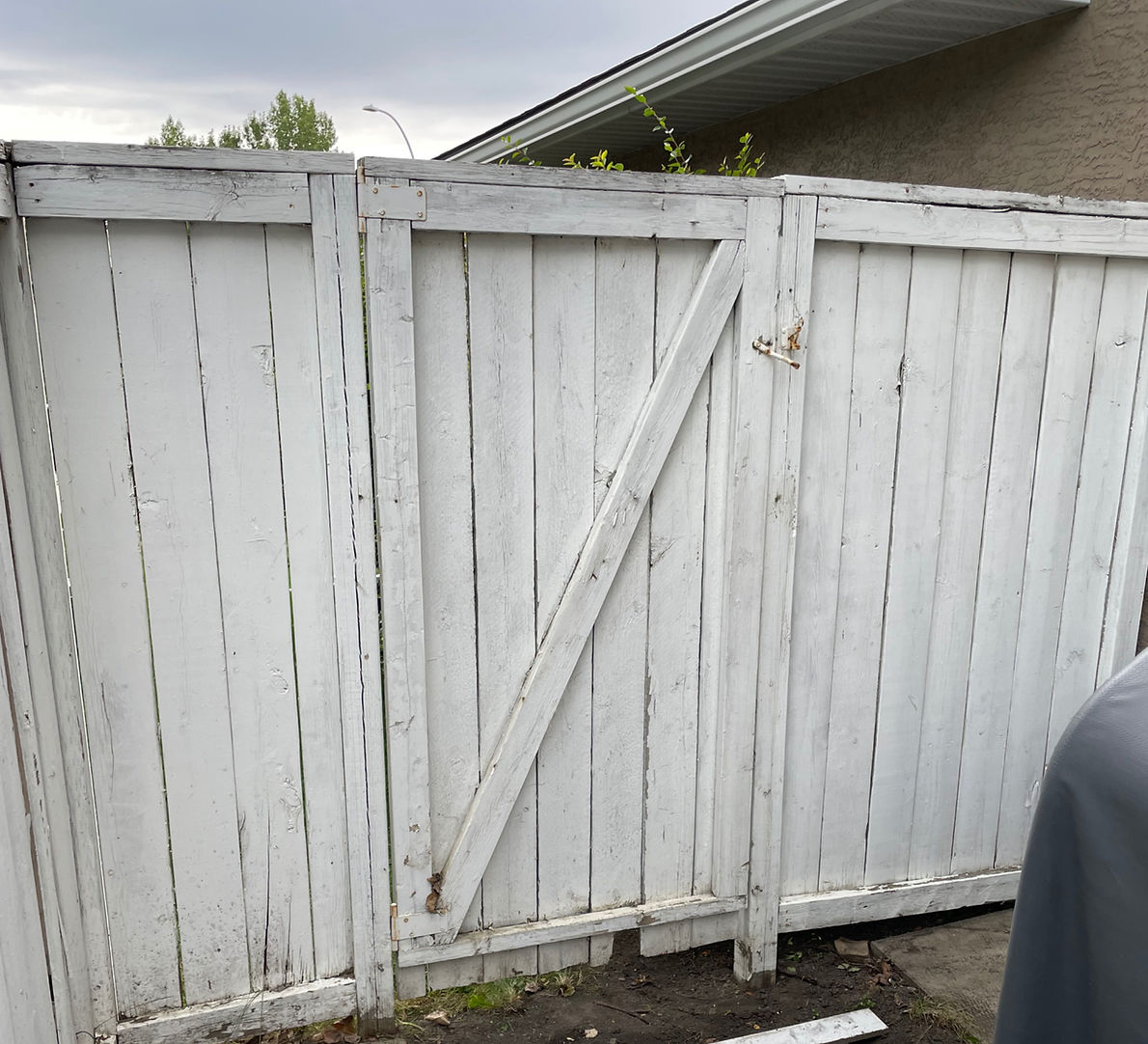 Old peeling white wooden back gate before restaining